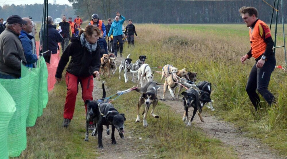 Am 14. und 15. November sind in Leipa, hier ein Bild von einer früheren Veranstaltung, wieder die Hunde los.