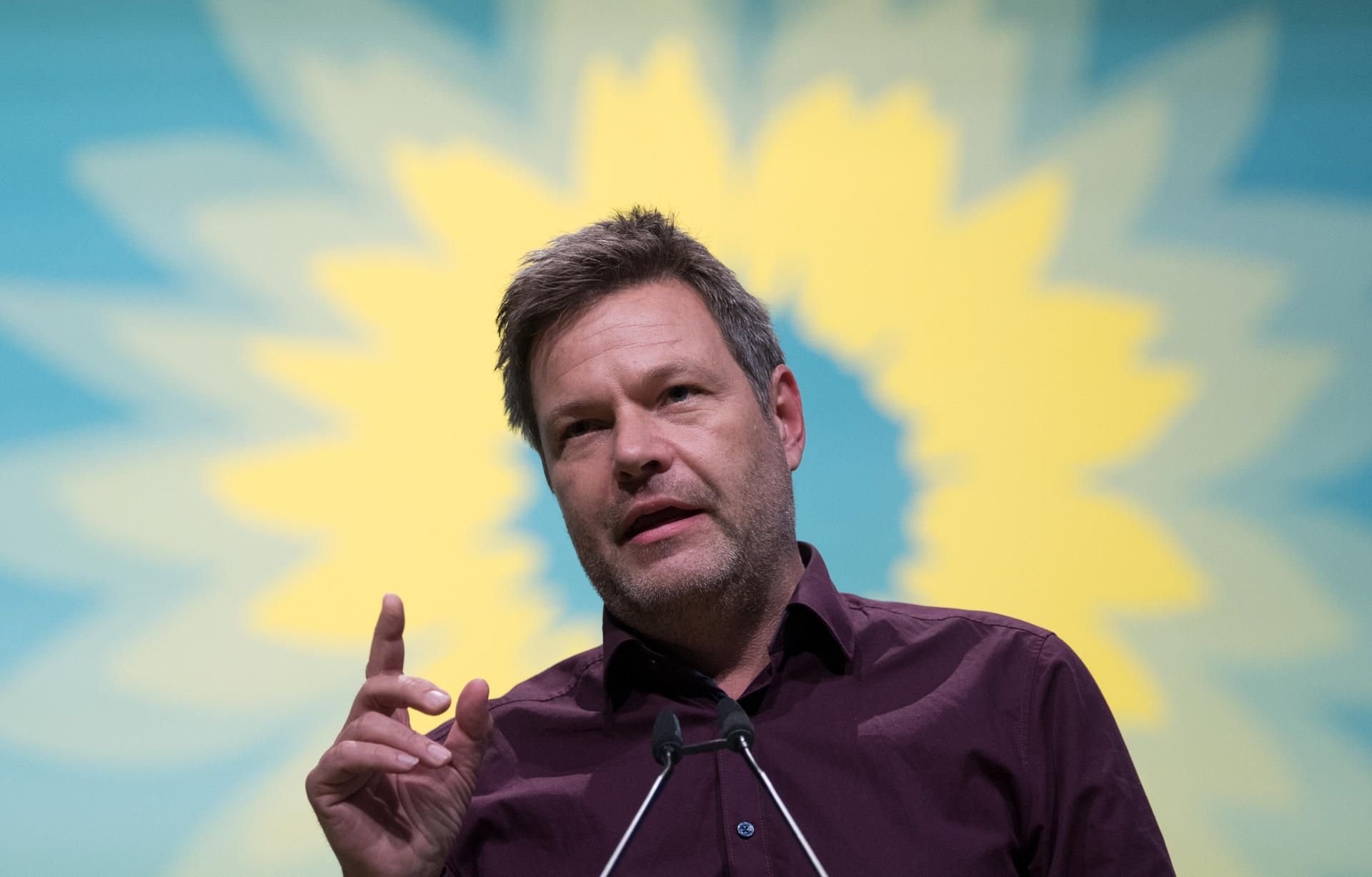 Grünen-Chef Robert Habeck