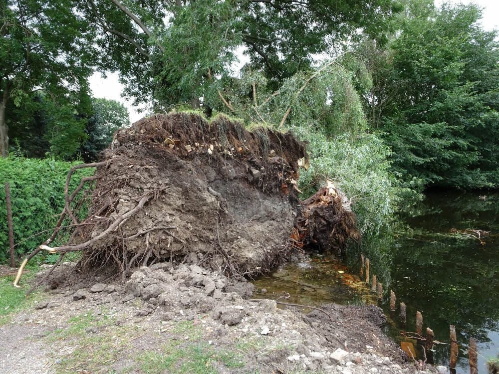 Deutliche Spuren hat das Unwetter hinterlassen, das auch über den Saalekreis hinweggezogen war.