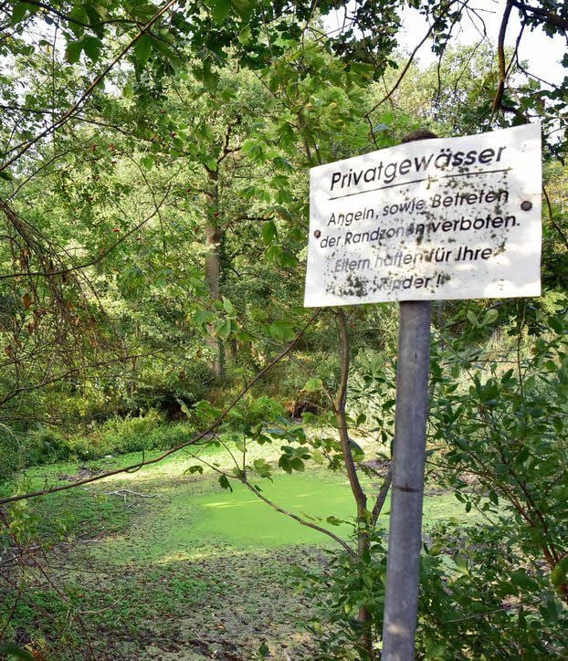 Unberäumt: Neekener Teiche im Wald.