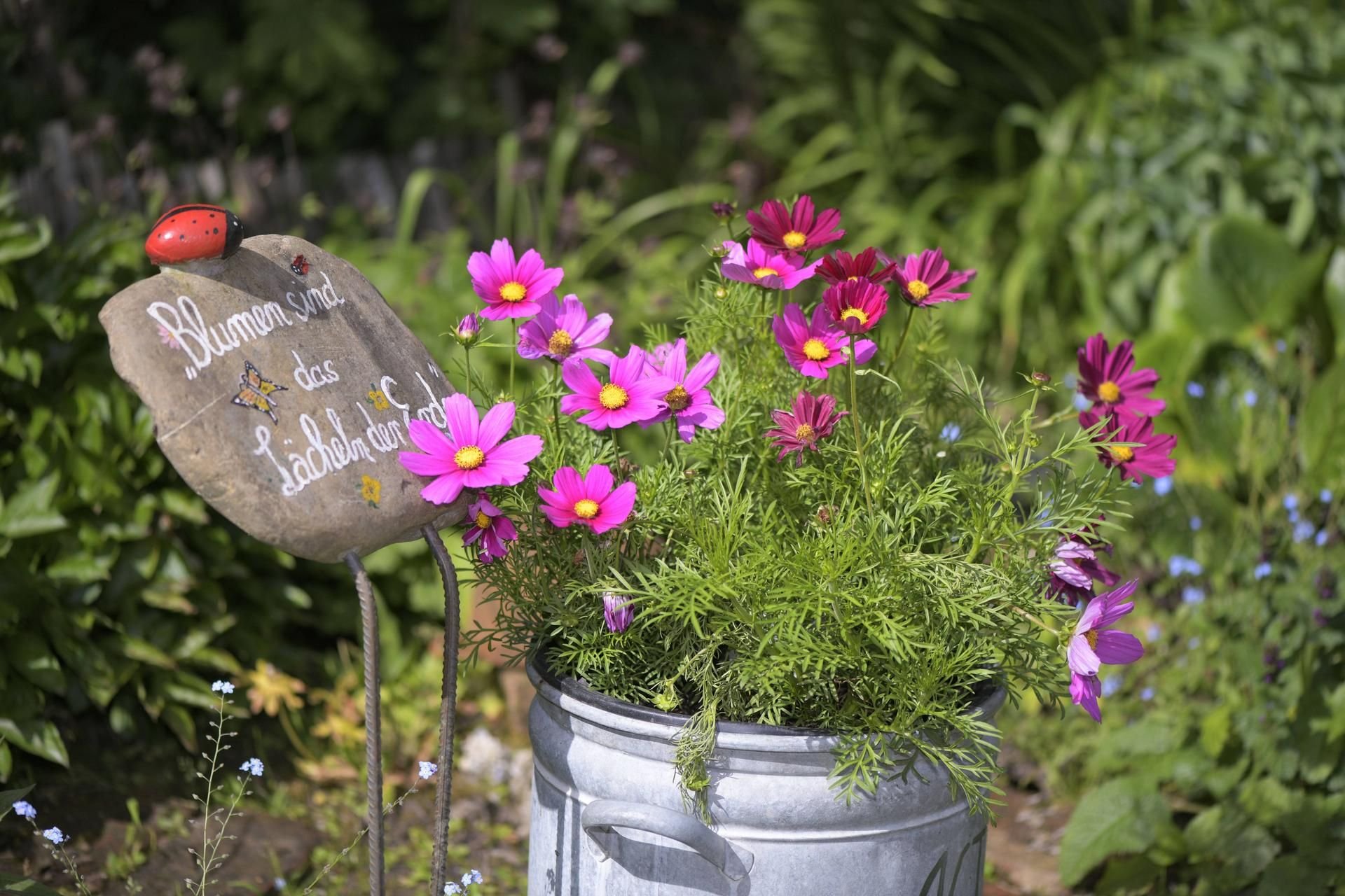Gerade in der Stadt suchen Bienen nach Nahrung, daher sind Wildblumen oder Kräuter selbst im Balkonkasten wichtig für den Umweltschutz.