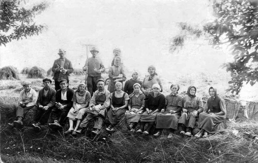 Bei Winzer Schlurick lasen diese Menschen im Gründungsjahr des Weinbauvereins 1926 die Trauben.