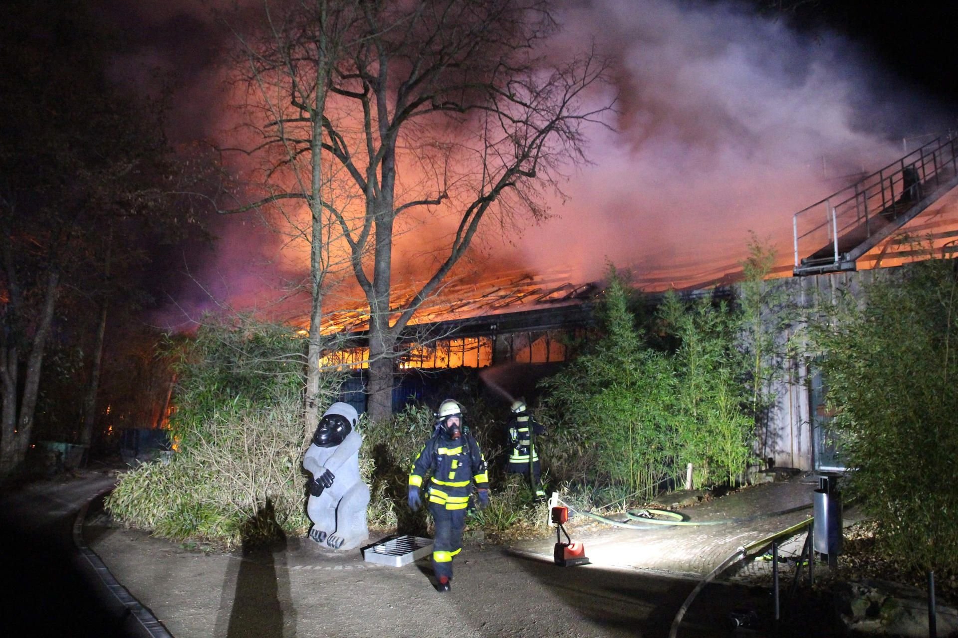 Das Affenhaus im Krefelder Zoo steht in der Neujahrsnacht in Flammen.