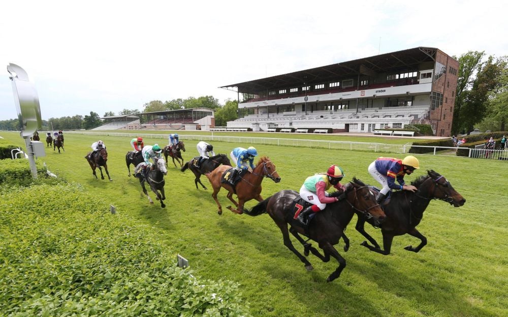 Am 10. Mai jagen Ross und Reiter auf der Galopprennbahn in Berlin-Hoppegarten an leeren Tribünen vorbei. Mehrere Bundesländer haben Geisterrennen genehmigt, um die Arbeitsplätze von Jockeys, Trainern und dem Stallpersonal zu erhalten. Sachsen-Anhalt hat keine Erlaubnis erteilt.