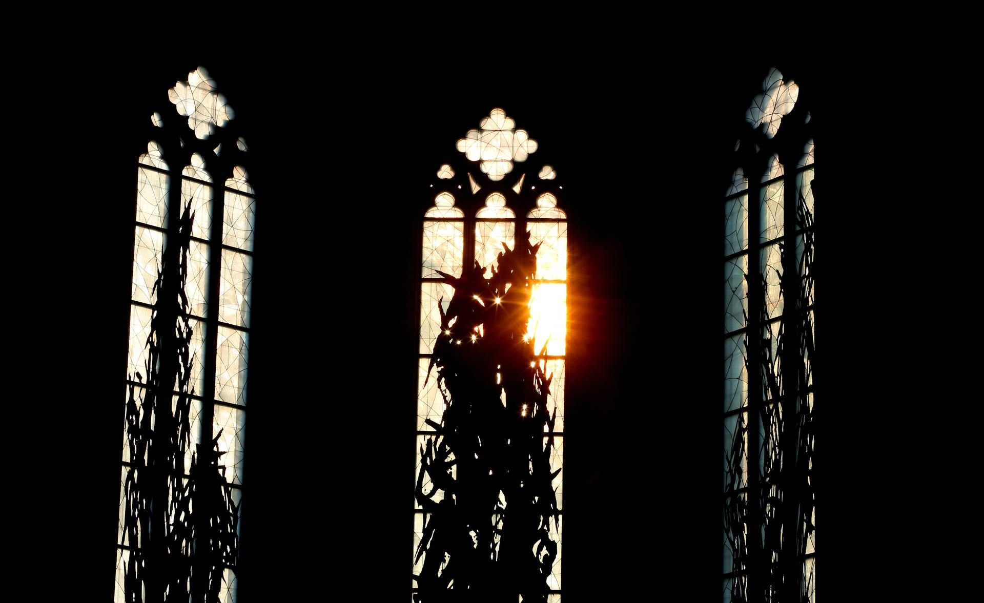 Die von dem Dresdner Maler Max Uhlig gestalteten 14 gotischen Kirchenfenster der Magdeburger Johanniskirche sind neun Jahre nach dem ersten Entwurf komplett und werden am 16. September eingeweiht.