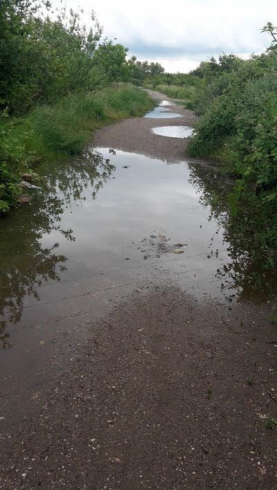 Matschweg am Hufeisensee