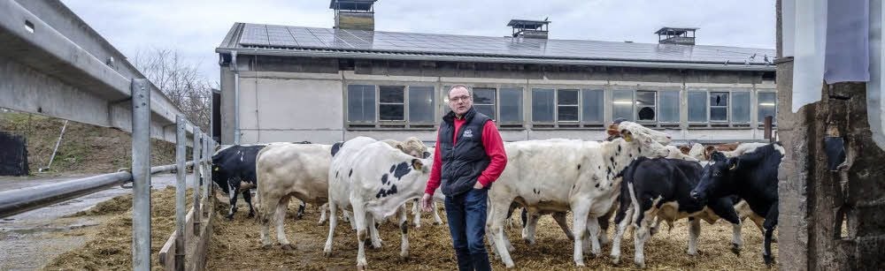 Hans Georg Wehr bei den Rindern im Freigehege seiner Anlage in der Kliekener Aue.