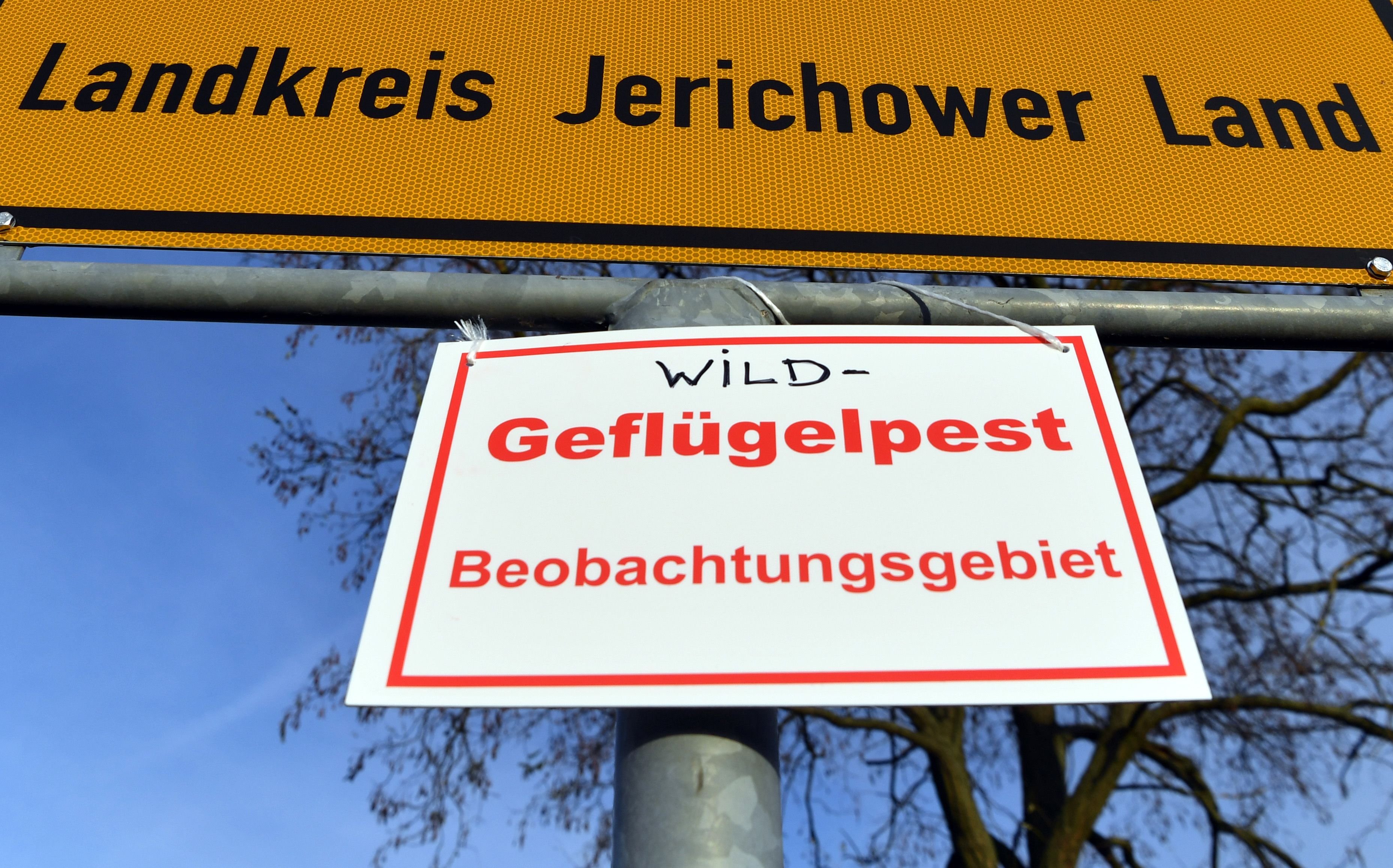 Ein Schild mit der Aufschrift «Geflügelpest Beobachtungsgebiet» steht bei Möckern an einem Ortsschild. In einem Geflügelbetrieb im Jerichower Land besteht der Verdacht auf Vogelgrippe.
