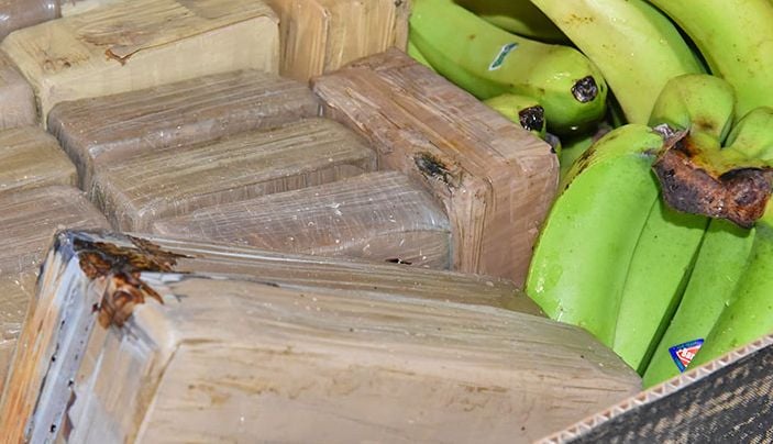 Neben der Bananenlieferung befanden sich auch Päckchen mit Kokain gefüllt in den Kisten der Supermärkte.