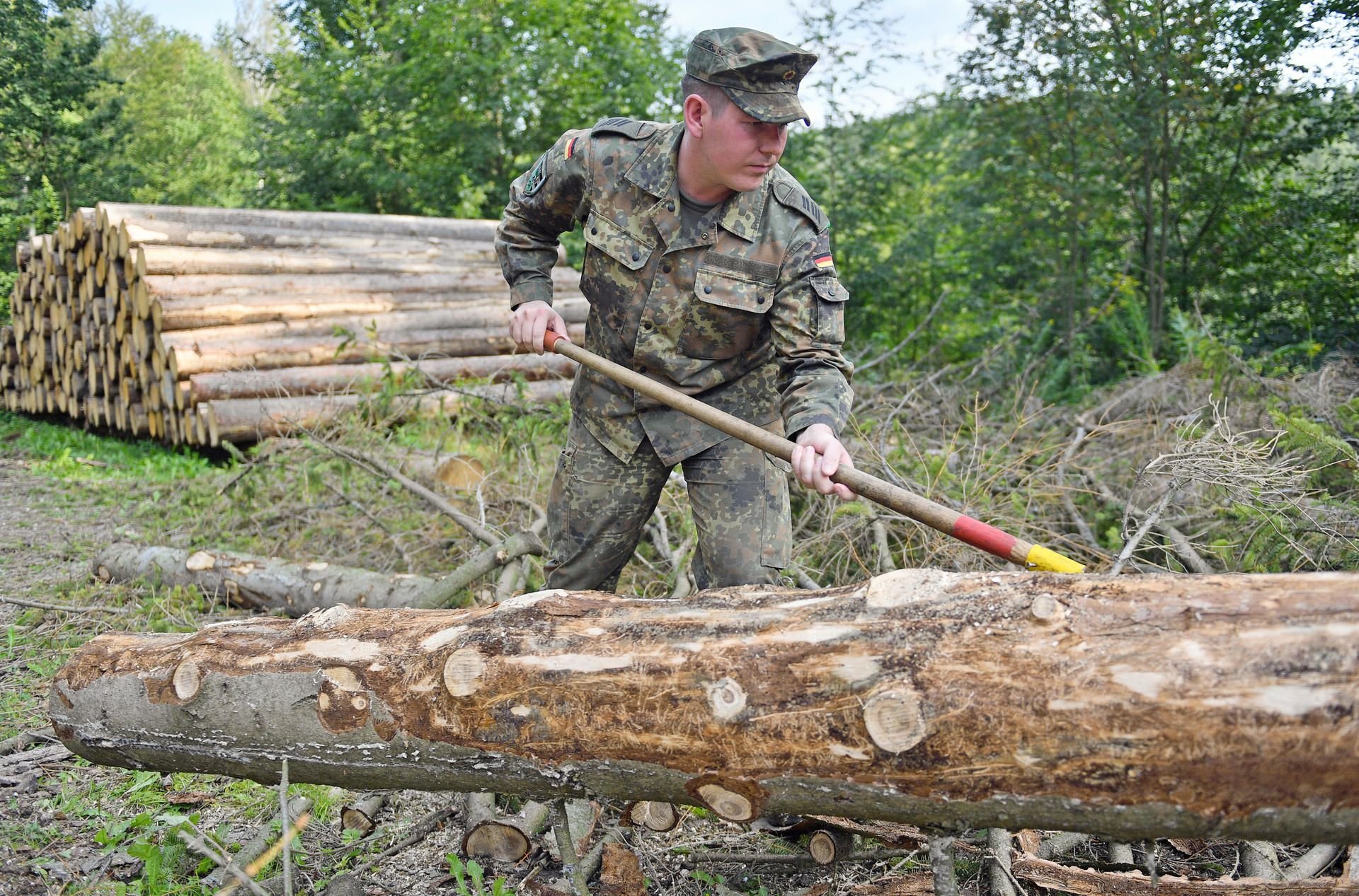 Die Bundeswehr kämpft jetzt auch im Harz gegen den Borkenkäfer.