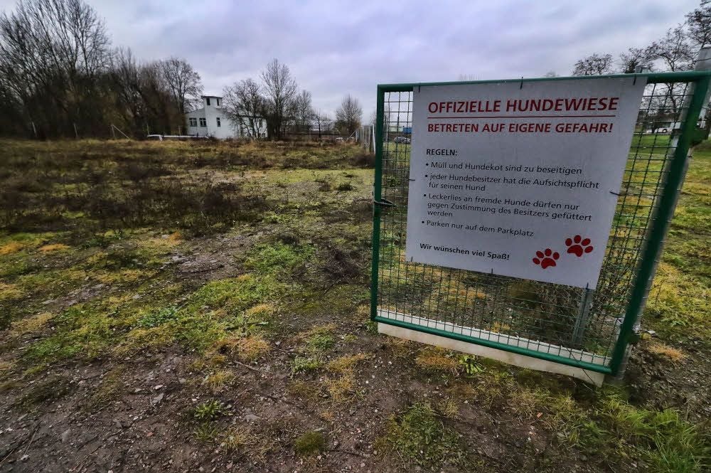 Zurzeit lädt die Hundewiese nicht zum Auslauf für die Vierbeiner ein.