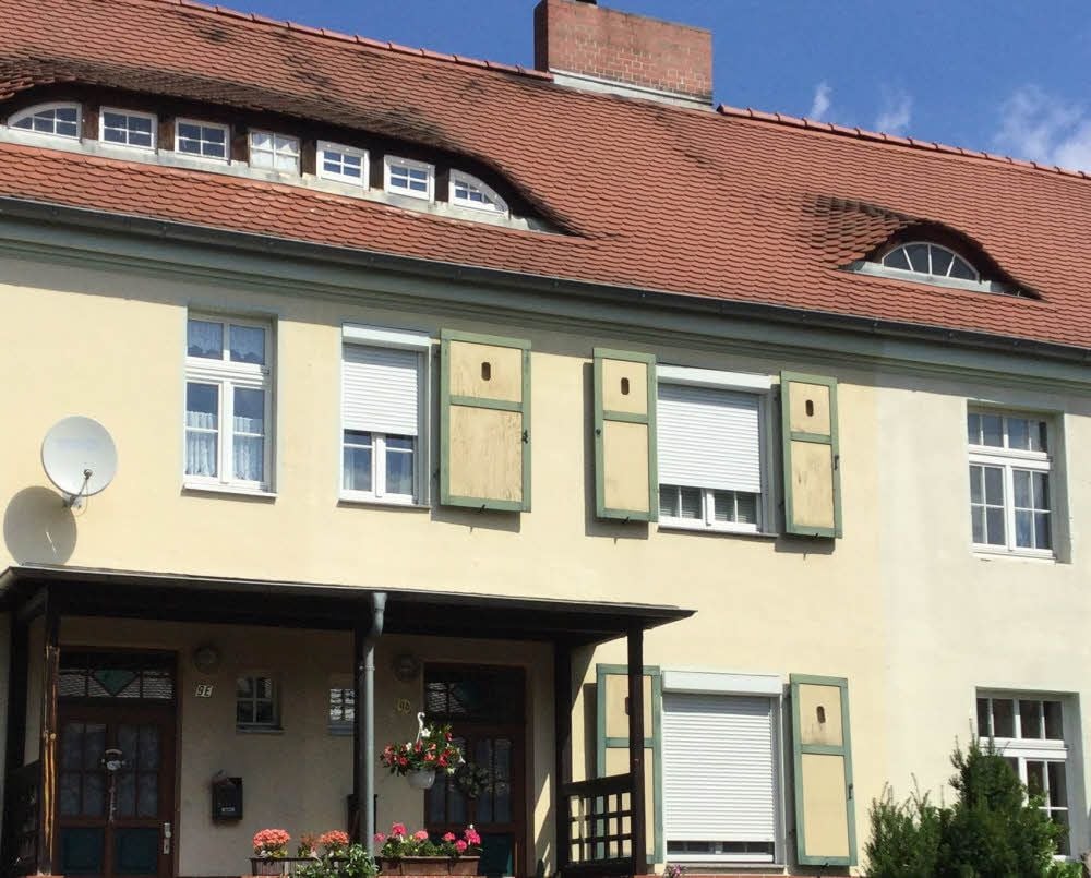 Diese Jalousien sind den Denkmalschützern ein Dorn im Auge.