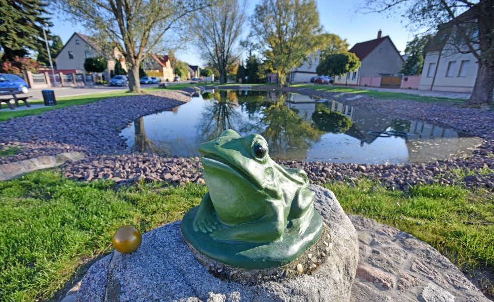 Der Frosch mit der goldenen Kugel ist das Petersrodaer Wappentier und das Maskottchen. Jetzt hockt er am Teich und bewacht ihn.