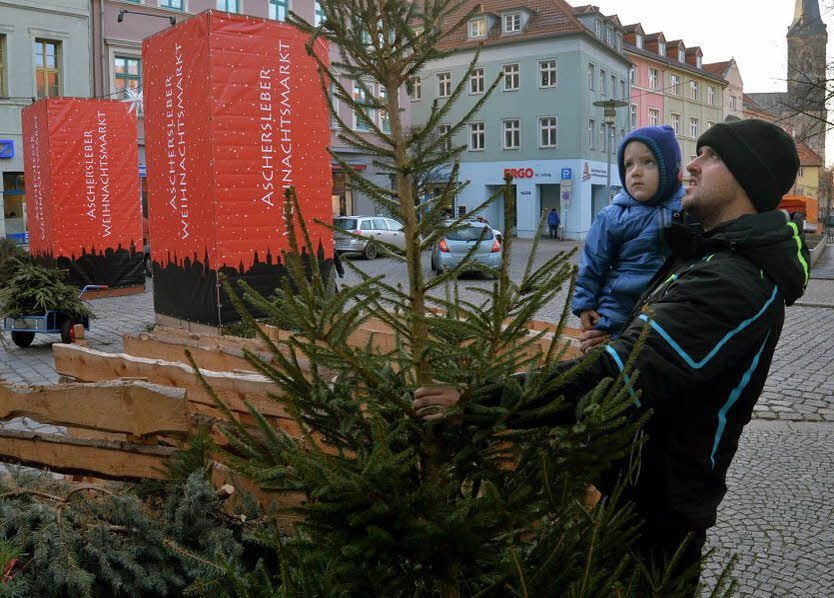 Auf dem Markt gab’s Bäume zum Schnäppchenpreis.