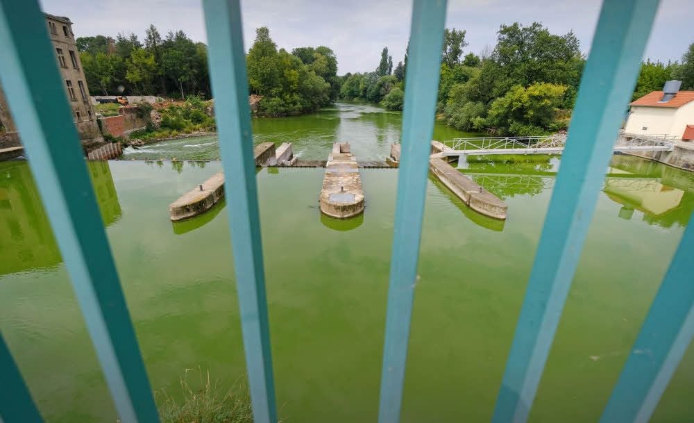 Die grüne Mulde in Jeßnitz. Das Wasserkraftwerk dort steht still.