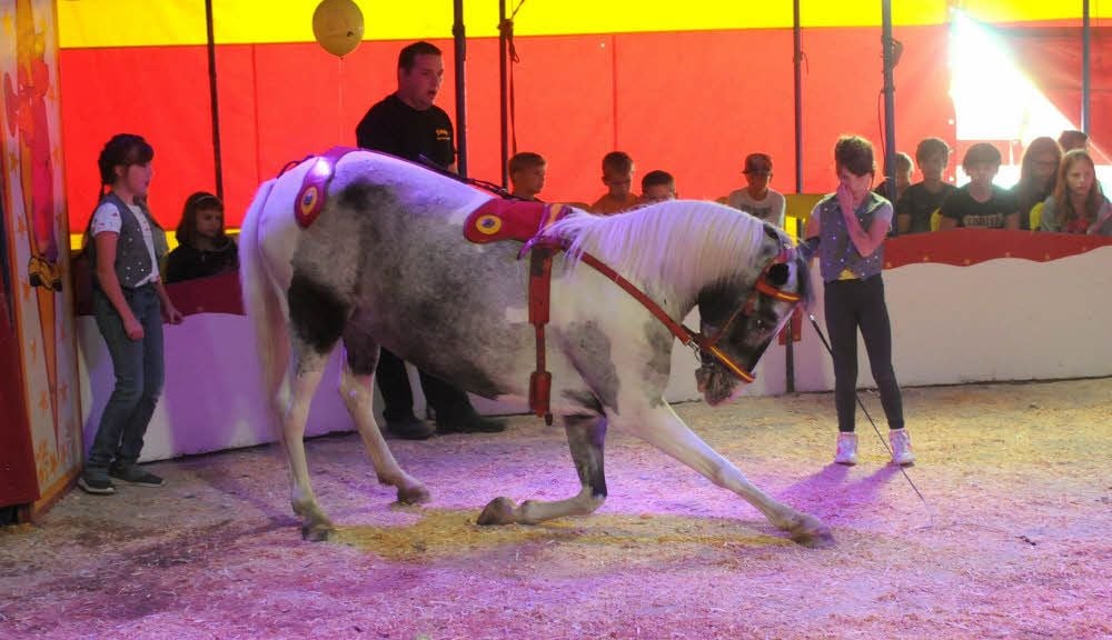 Die Schwestern Leoni (rechts) und Stefani aus Sangerhausen bringen in der Naumburger Manege Pferd „Sissi“ zu einem Knicks.
