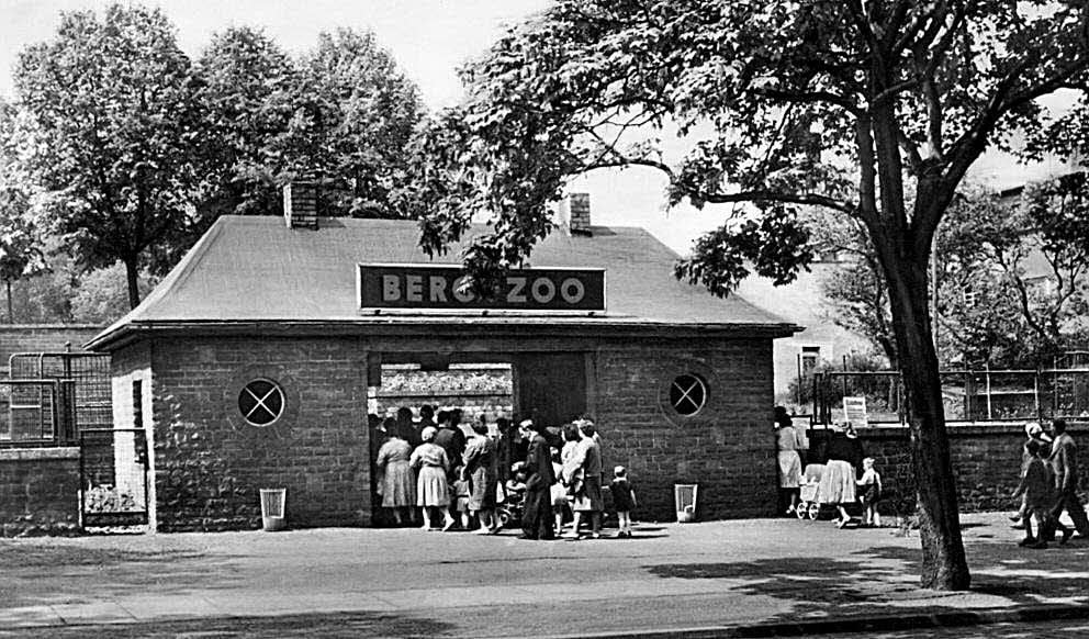 Bestes Sonntagswetter? Da ging es auch schon früher in den Zoo. Ab 1958 gab es erst einen Eingang an der Reilstraße.