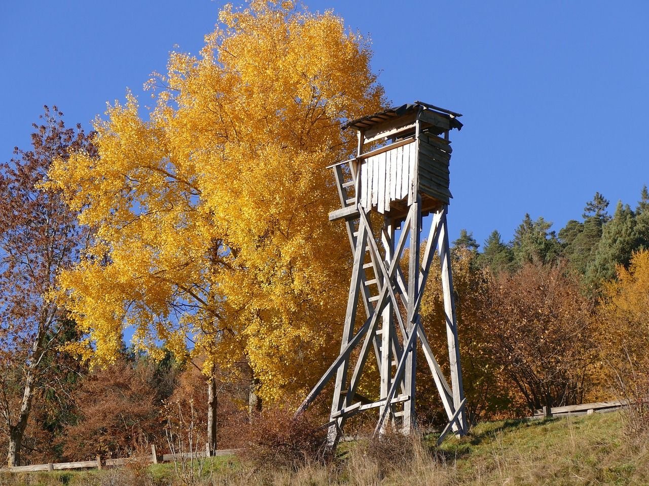 Der Jagdunfall im Landkreis Wittenberg wird gerade vor Gericht verhandelt.