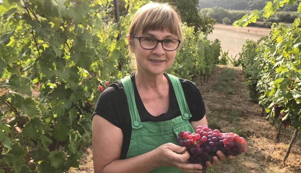 Gutedel weiß und rot - etwas anderes gibt es bei Petra Wiegel unterhalb des Göttersitzes nicht.