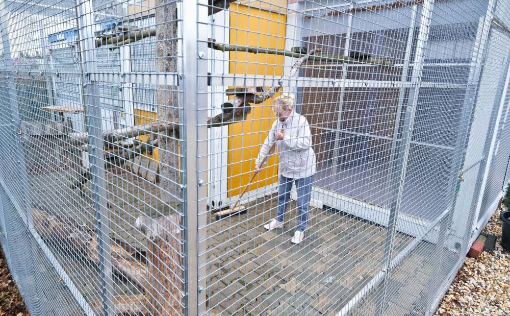 Eine Mitarbeiterin säubert das Außengehege des Felidae-Vereins, der dringend finanzielle Unterstützung braucht.