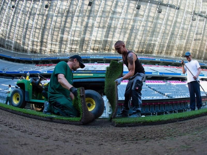 Landschaftsgärtner verlegen in der Allianz Arena in München den neuen Stadionrasen. Foto: Matthias Balk