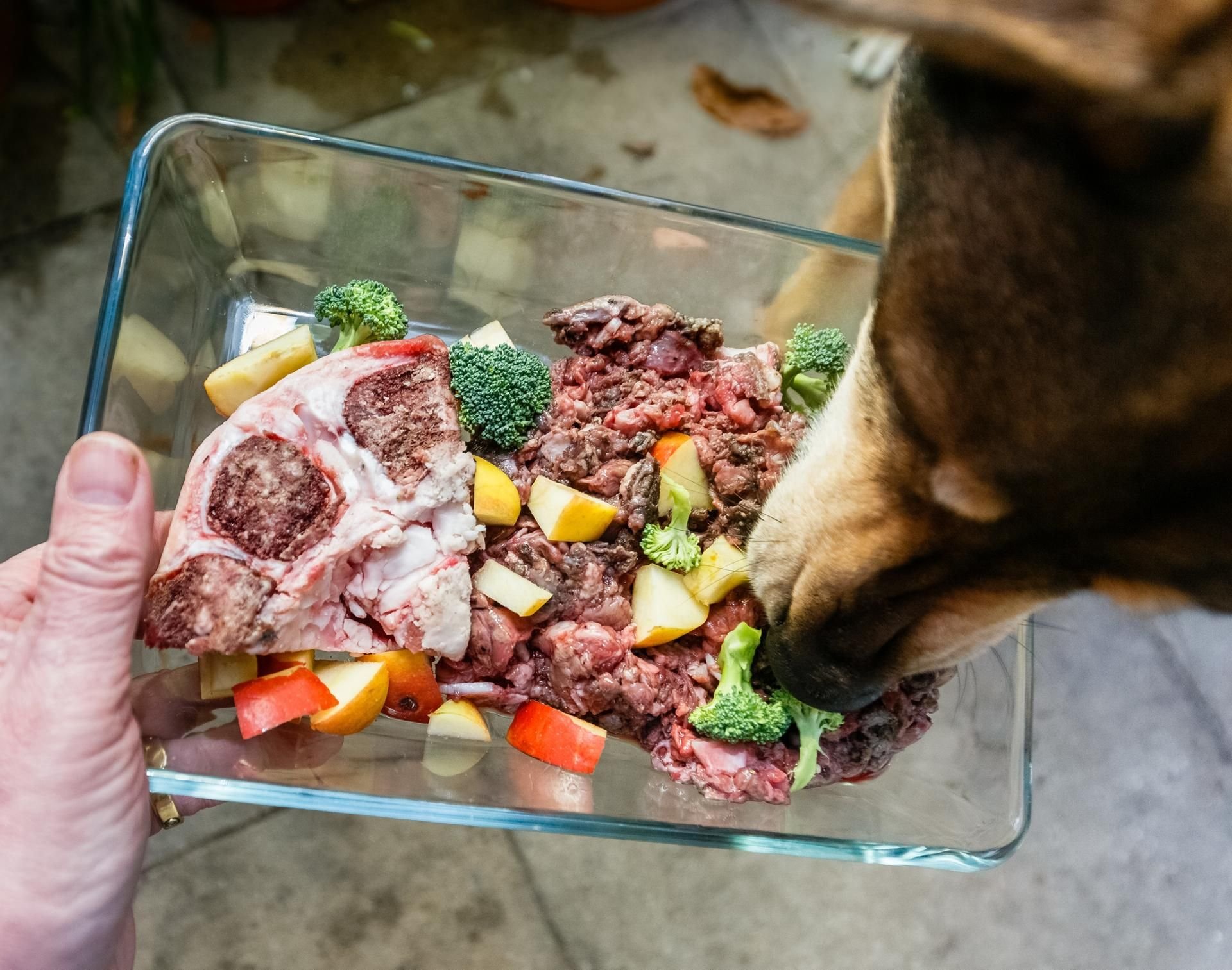 Barf besteht aus rohem Fleisch, Innereien, Knorpelfleisch, Knochen, Obst und Gemüse.
