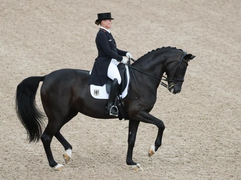 Titelverteidigerin beim Weltcup-Finale in Paris: Dressurreiterin Isabell Werth mit ihrem Pferd Weihegold. Foto: Friso Gentsch
