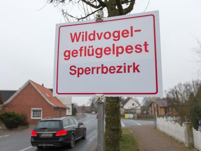 Das Schild "Wildvogelgeflügelpest Sperrbezirk" ist zu sehen. Foto: Friso Gentsch/Archiv