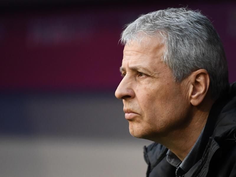 Verlangt von seinem Team einen Sieg gegen Mainz: BVB-Coach Lucien Favre. Foto. Sven Hoppe Foto: Sven Hoppe