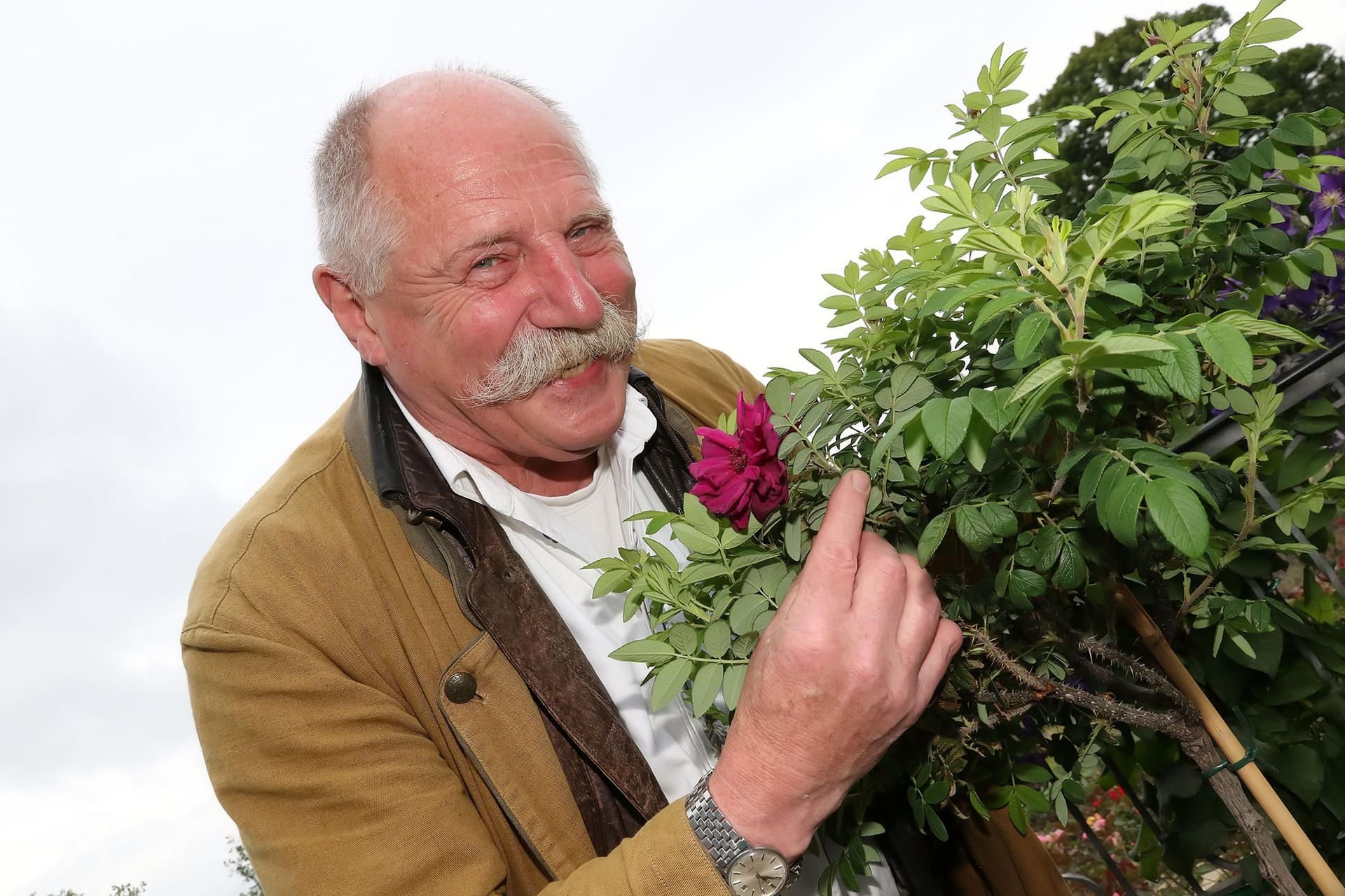 Rudolf Gremmel mit einer Rose