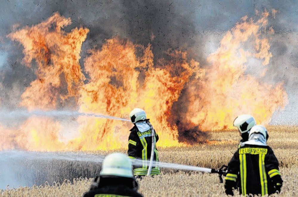 Im Eiltempo fraßen sich die Flammen durch das trockene Getreide. Unterstützt wurden sie dabei von einem böigen Wind.