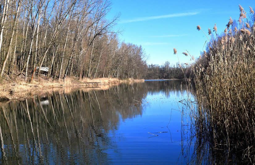 Blick auf den Vollert. Das Tagebaurestloch ist rund 7,5 Hektar groß und wird von den Angelvereinen aus Trebnitz und Teuchern gepflegt.