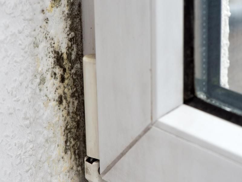 Dichten Fenster zu gut ab, entsteht oft Schimmel an den Wänden. Verhindern lässt sich dies durch regelmäßiges Lüften. Foto: Andrea Warnecke
