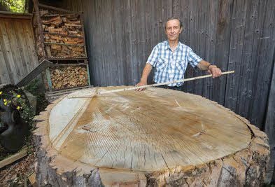Bernhard Bley hat ein Gespür für Holz.