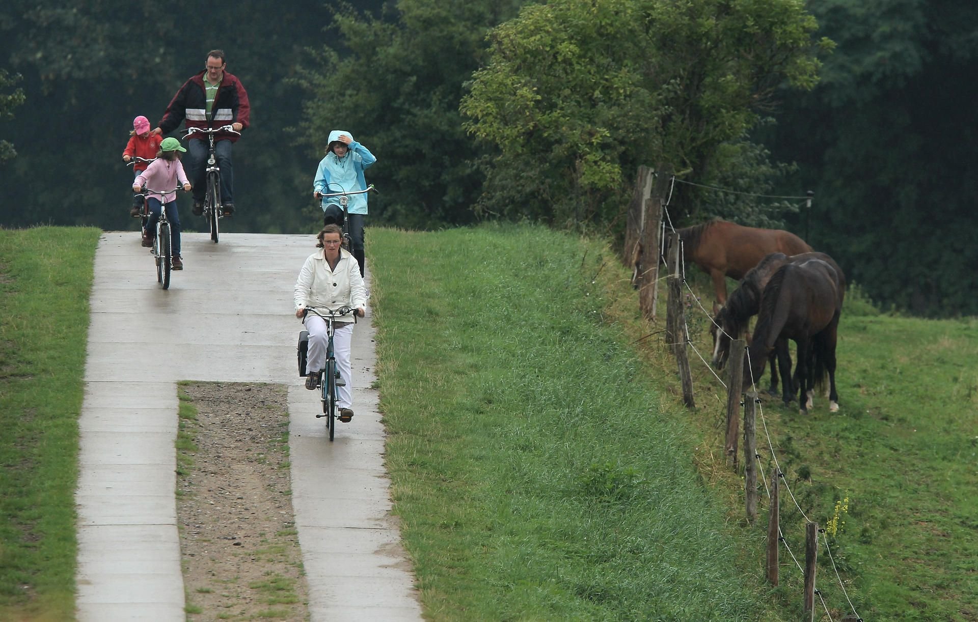 Eine Familie befuhr den Hindenburgdamm, der Sylt mit dem Festland verbindet. Am Ende wartete die Polizei.