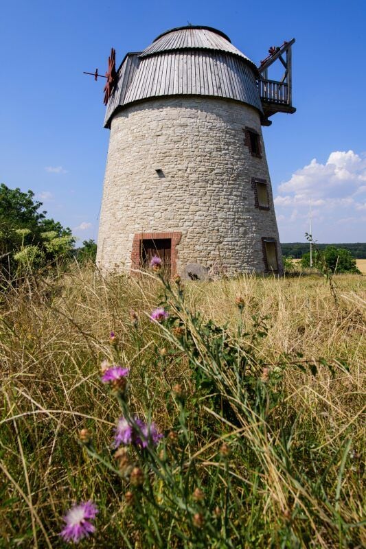 Ohne Flügelrad quasi nackt präsentiert sich die Eckartsbergaer Windmühle. Sie wird derzeit im Inneren umfassend saniert.