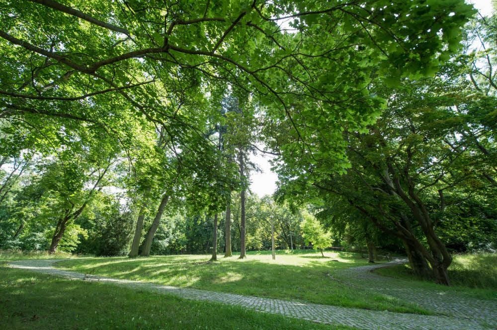 Der Naumburger Bürgergarten am Rande der Stadt - zusammen mit dem Rosengarten eine einladende Sommerfrische.