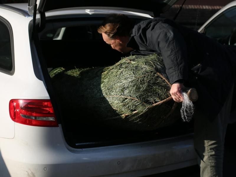 Damit der Weihnachtsbaum sicher mit dem Auto ins festliche Heim gelangt, müssen Autofahrer einige Sicherheitshinweise beachten. Foto: Ina Fassbender