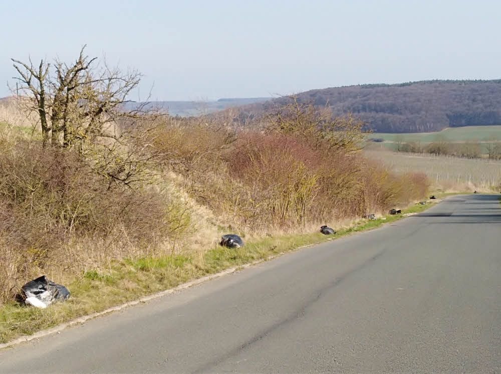 Schwarze Müllsäcke mit Bauschutt nahe Zscheiplitz.