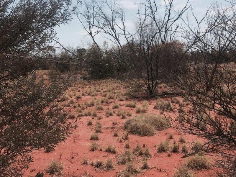 Im australischen Outback erreichen die Temperaturen tagsüber derzeit mehr als 45 Grad. Foto: WA Police/AAP/Archiv