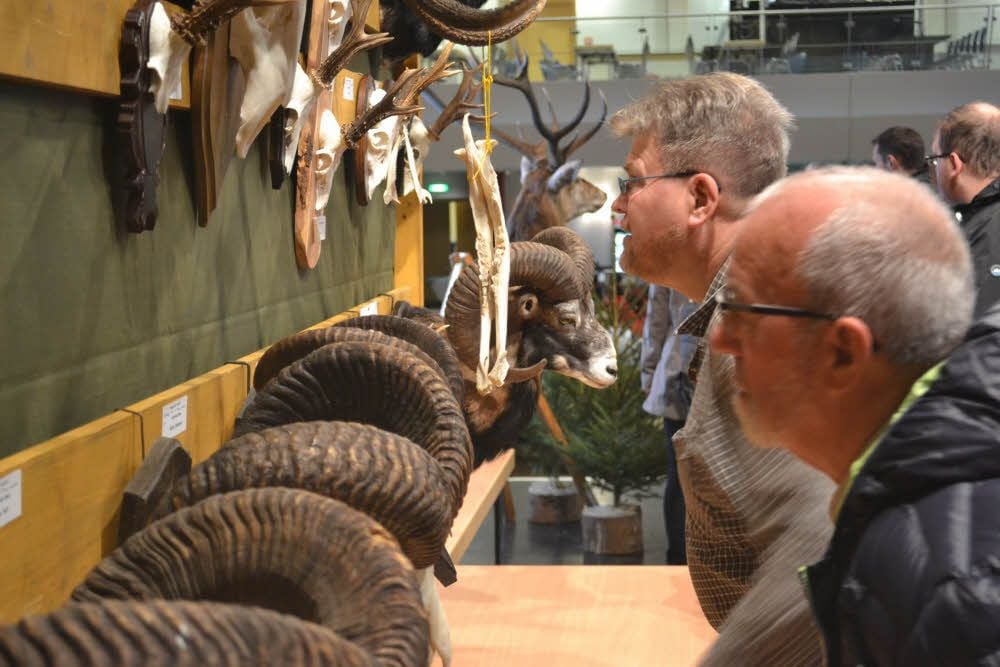 Viele Trophäen gab es im Klubhaus Thale zum Jägerfrühschoppen zu sehen.