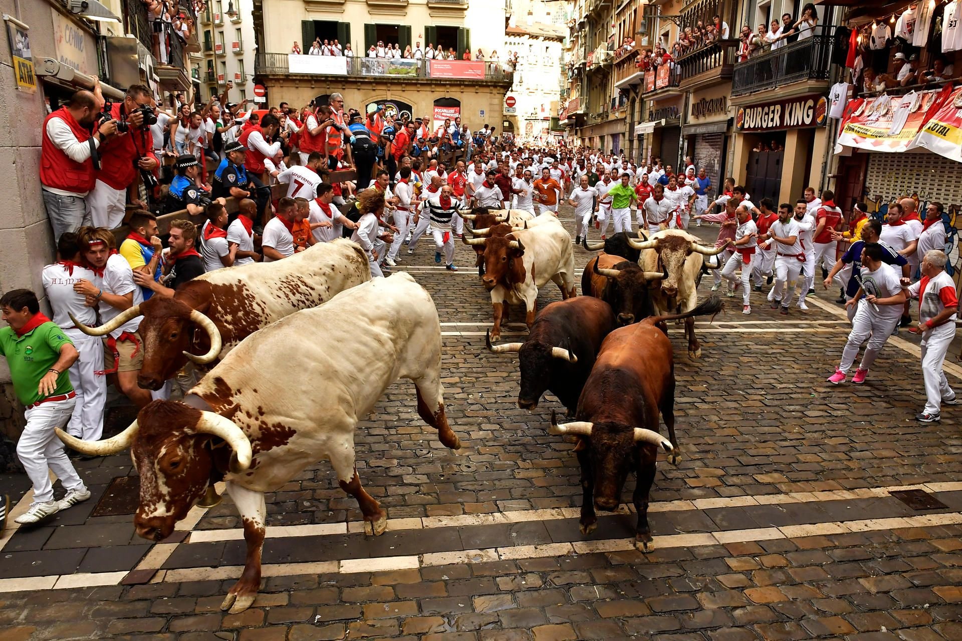 Stiere laufen durch die Gassen der Stadt Pamplona an Schaulustigen vorbei.