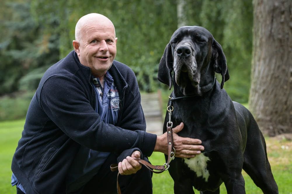 Heiko Waßermann ist stolz auf seinen Quilano. Die Deutsche Dogge ist ein begehrter Deckrüde.
