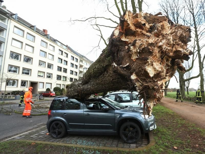 Zwei Stürme haben am Wochenende in NRW Bäume entwurzelt. Autobesitzer sollten dadurch entstandene Schäden am Fahrzeug schnell der Versicherung melden. Foto: David Young
