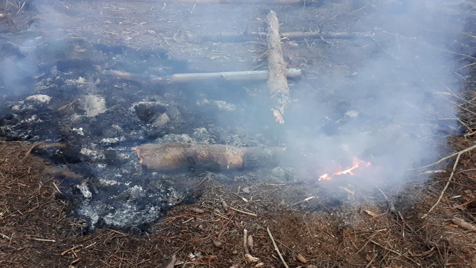 Ein von Nationalparkmitarbeitern entdeckter Schwelbrand bei Ilsenburg.