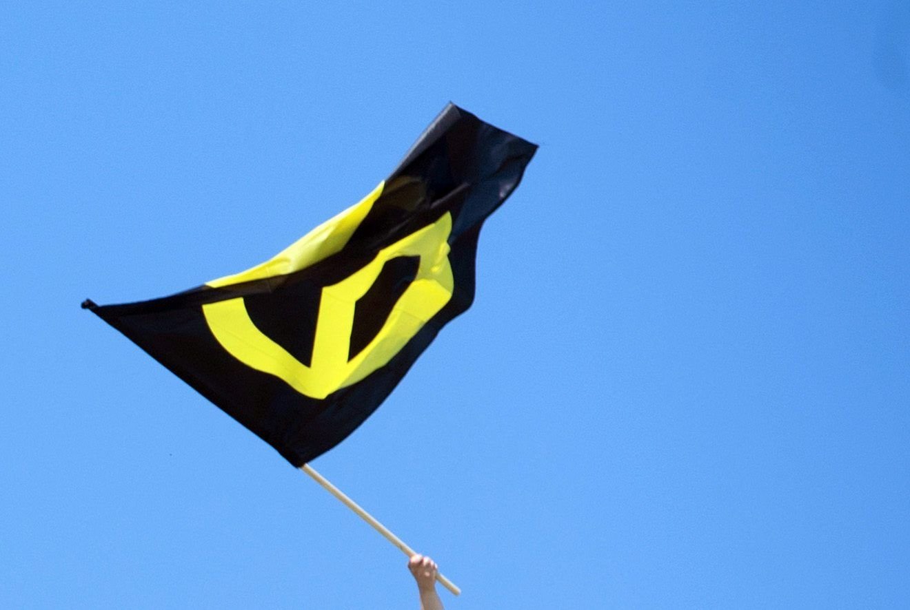 Ein Aktivist der "Identitaeren Bewegung" schwenkt eine Flagge.