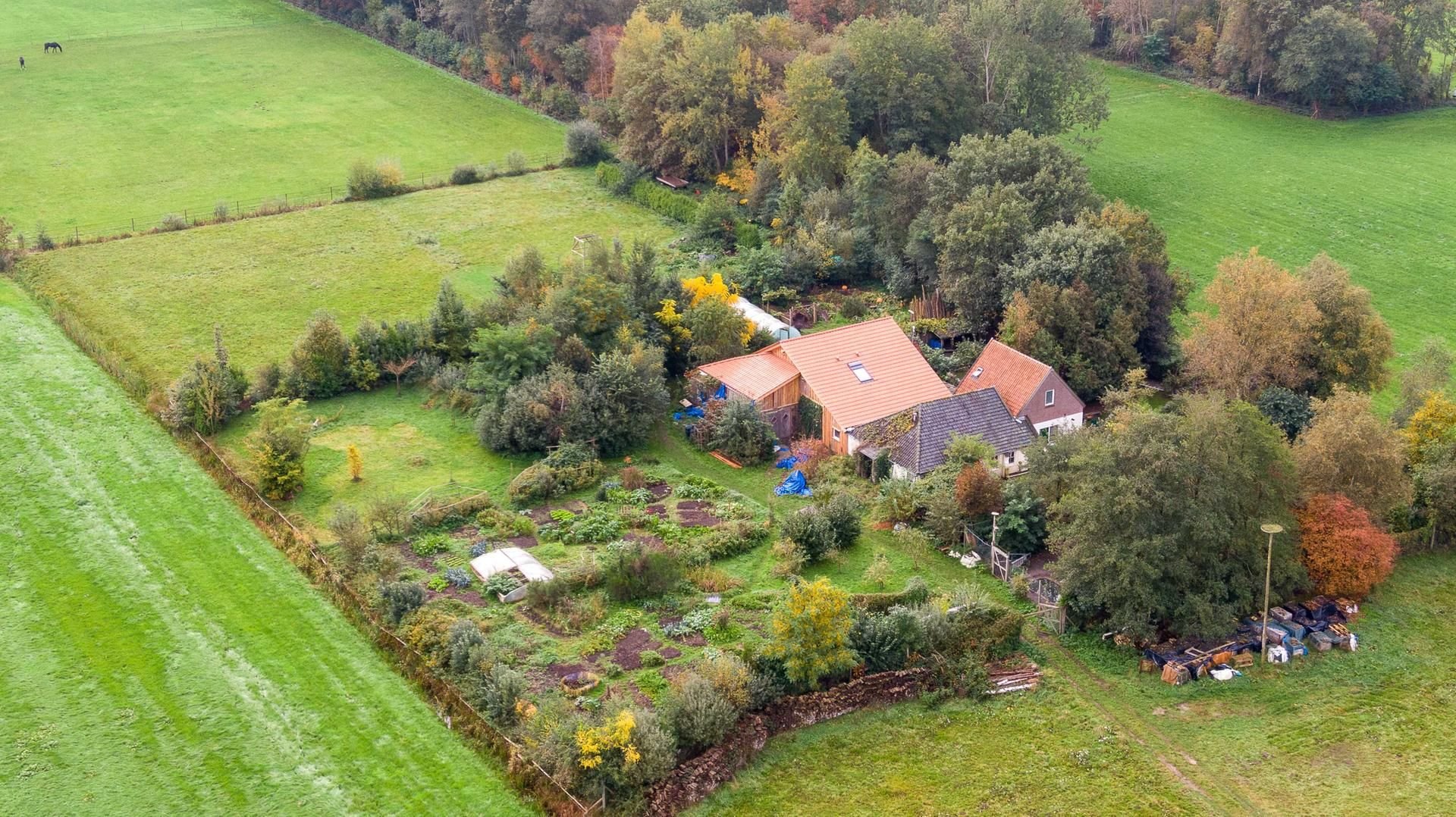 Eine Drohnenaufnahme zeigt den abgelegenen Hof im niederländischen Ruinerwold.