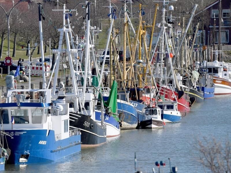 Fischkutter liegen im Hafen. Foto: Carsten Rehder/dpa/Archivbild