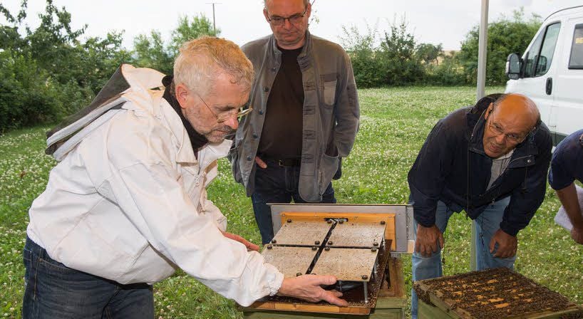 Richard Rossa (links) erläutert den Imkern die von ihm entwickelte Bienensauna: Für drei bis vier Stunden werden die Tiere hineingeschickt.