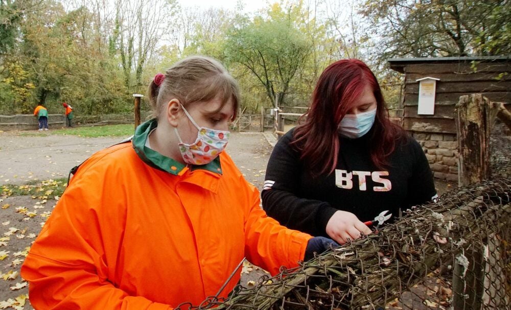 Vanessa und Nina (li.) absolvieren Praktikumstage im Zoo und helfen, das Streichelgehege der Ziegen neu einzuzäunen.